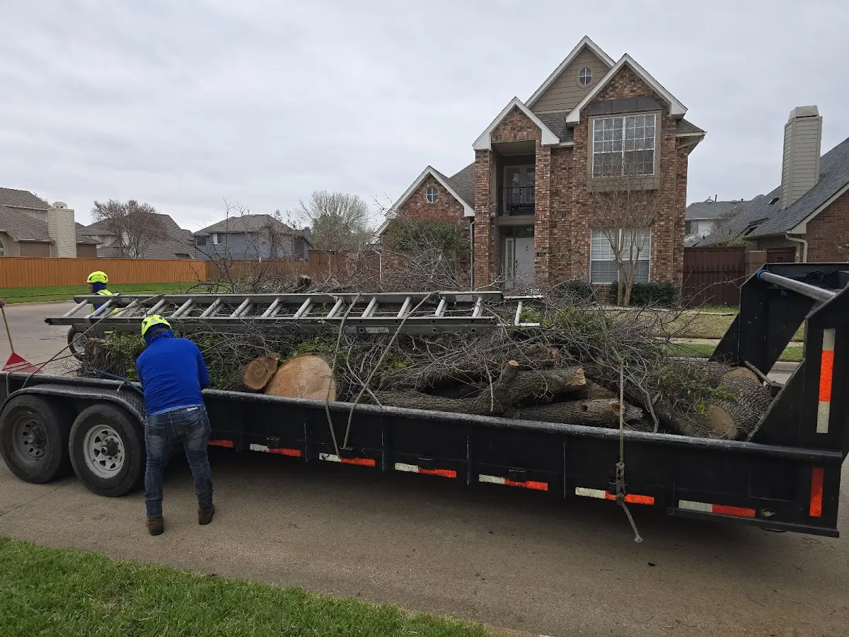 Expert Tree Pest Control with proper safety equipment in Southard